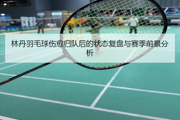 林丹羽毛球伤愈归队后的状态复盘与赛季前景分析