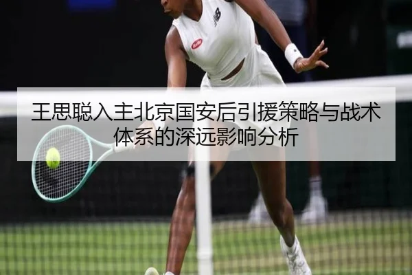 王思聪入主北京国安后引援策略与战术体系的深远影响分析
