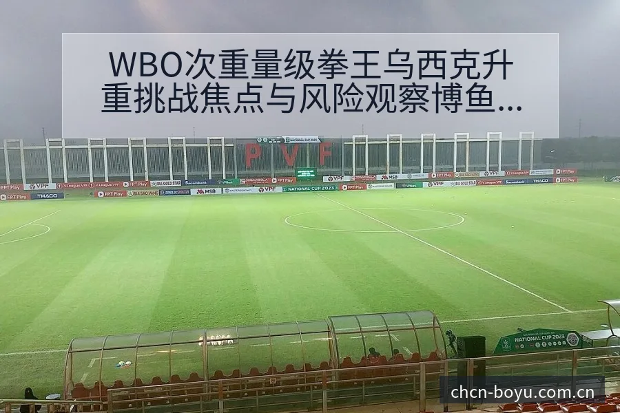 WBO次重量级拳王乌西克升重挑战焦点与风险观察博鱼体育 - BOYUSPORTS